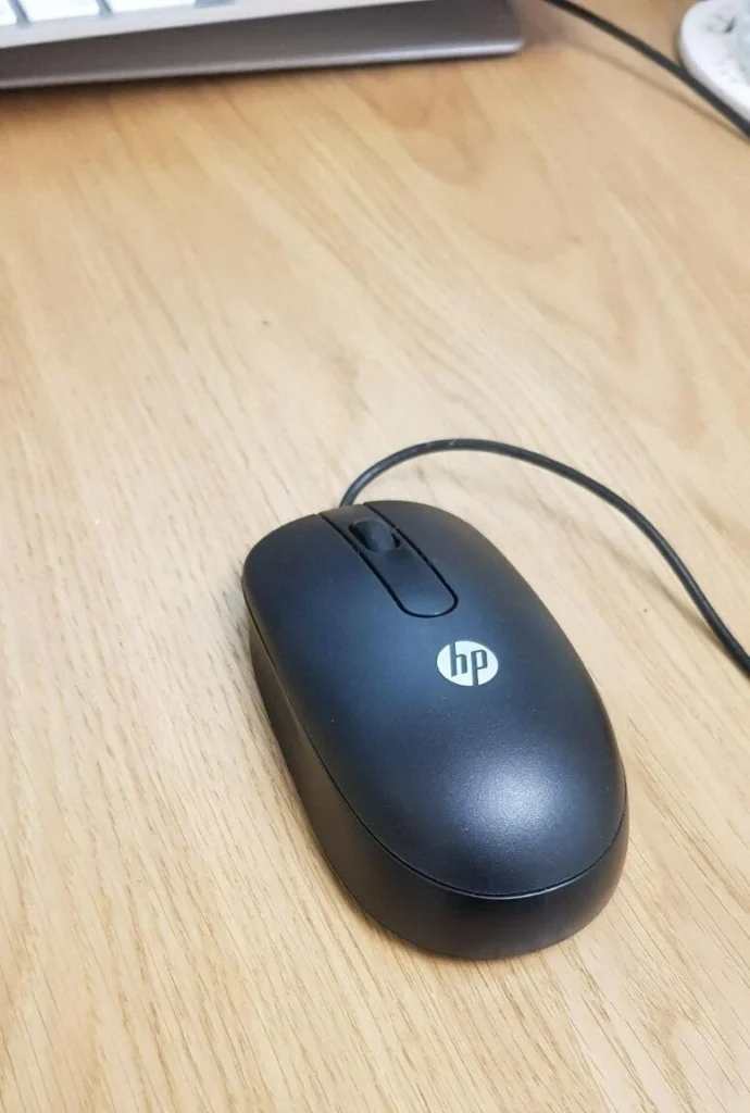 HP Computer Mouse